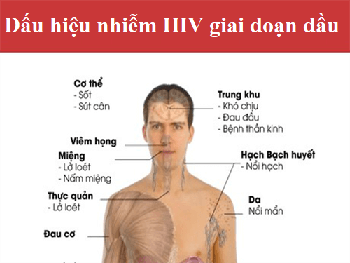 dấu hiệu nhận biết hiv giai đoạn đầu
